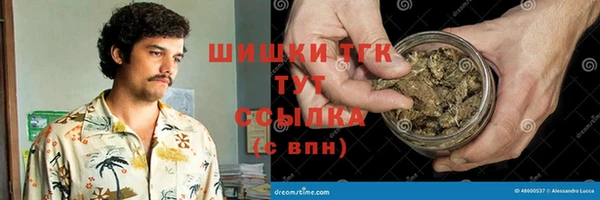 a pvp Новозыбков