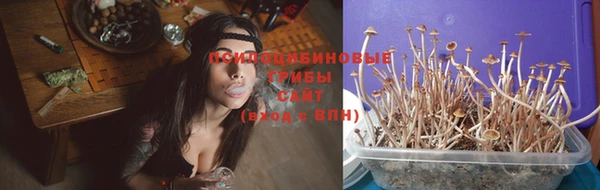 марихуана Новодвинск